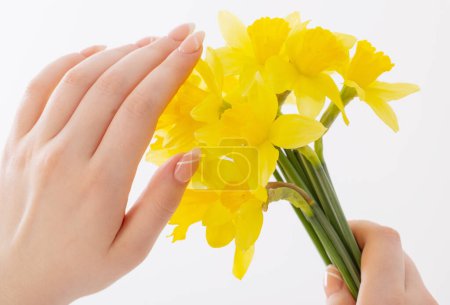 Téléchargez les photos : Fleurs jaunes de printemps dans la main des femmes fond blanc - en image libre de droit