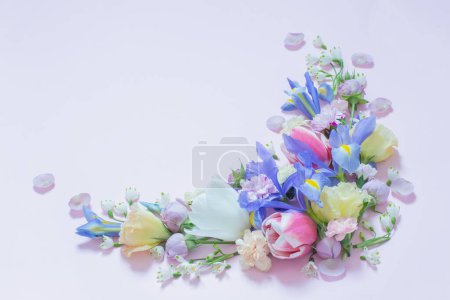 Téléchargez les photos : Belles fleurs printanières sur fond violet - en image libre de droit