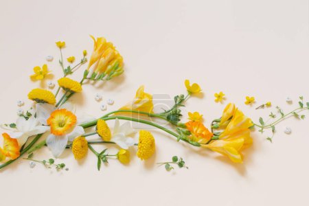 Photo for Yellow flowers  on yellow paper background - Royalty Free Image