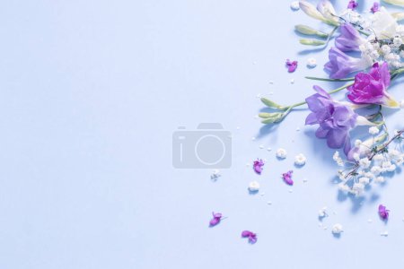 Frühling schöne Blumen auf blauem Hintergrund