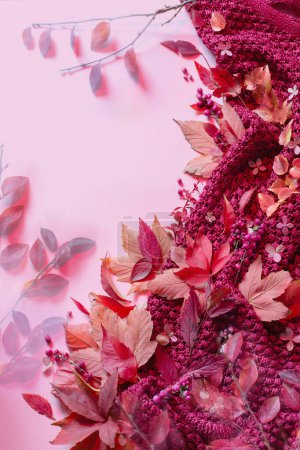 Photo for Pink autumn background with leaves and knitting - Royalty Free Image