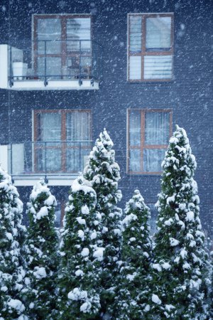 Téléchargez les photos : Fond avec neige sur fond maison moderne - en image libre de droit