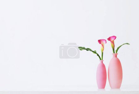 Téléchargez les photos : Belles fleurs roses dans des vases sur fond blanc - en image libre de droit