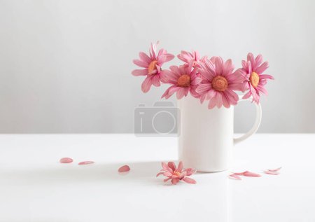Téléchargez les photos : Chrysanthèmes roses en tasse blanche sur fond blanc - en image libre de droit