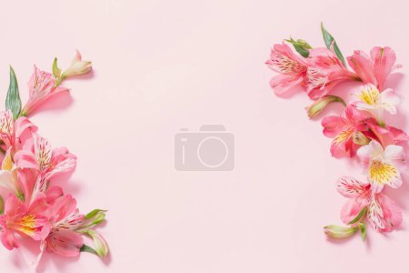 Téléchargez les photos : Alstroemeria fleurs sur fond rose - en image libre de droit