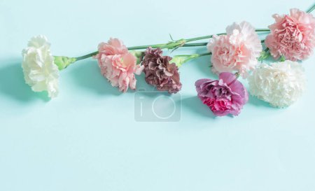 Téléchargez les photos : Oeillet fleurs sur fond de papier vert - en image libre de droit