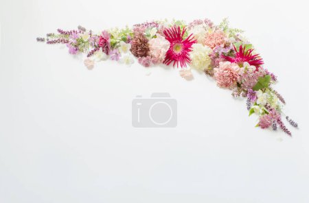 Téléchargez les photos : Belles fleurs d'été sur fond blanc - en image libre de droit