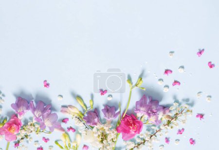 Téléchargez les photos : Printemps belles fleurs sur fond bleu - en image libre de droit