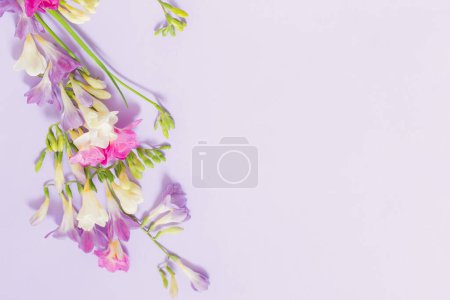 Photo for Pink, white and purple flowers on light purple background - Royalty Free Image