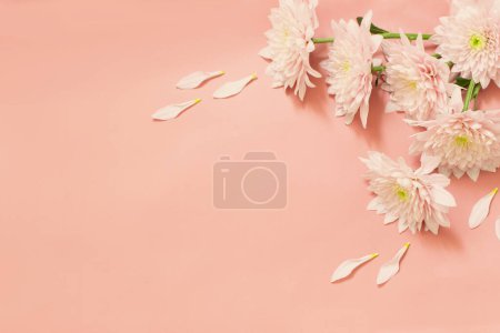 Foto de Crisantemos sobre fondo de melocotón - Imagen libre de derechos