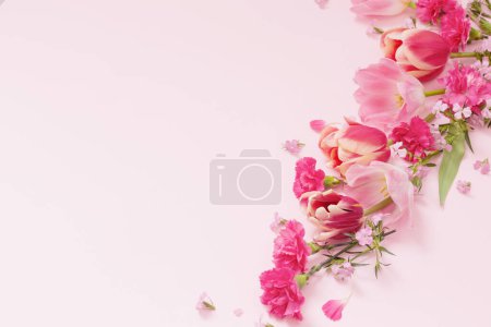 Photo for Beautiful spring flowers on pink background - Royalty Free Image