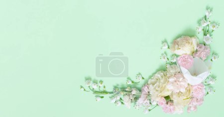 Téléchargez les photos : Belles fleurs printanières sur fond vert - en image libre de droit