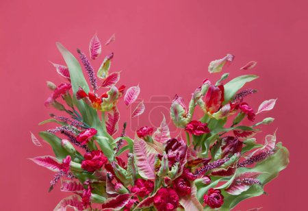 Photo for Pink and red flowers on pink background - Royalty Free Image