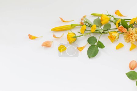 Téléchargez les photos : Cadre de belles fleurs sur fond blanc - en image libre de droit