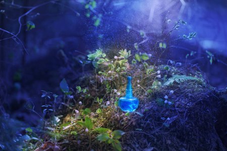 Foto de Poción mágica en botella en el bosque - Imagen libre de derechos