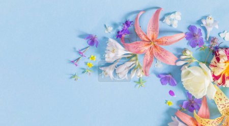 Foto de Marco de hermosas flores de jardín sobre fondo de papel - Imagen libre de derechos