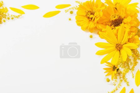 Téléchargez les photos : Fleurs jaunes sur fond blanc - en image libre de droit