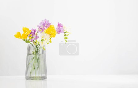 Photo for Freesia flowers  in glass modern vase on white background - Royalty Free Image