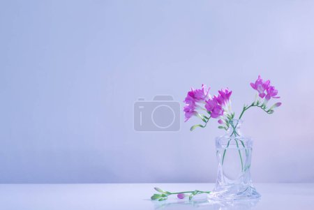 Téléchargez les photos : Violet freesia dans un vase en verre sur fond bleu - en image libre de droit