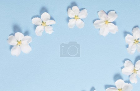 Foto de Flores de manzana sobre fondo de papel azul - Imagen libre de derechos