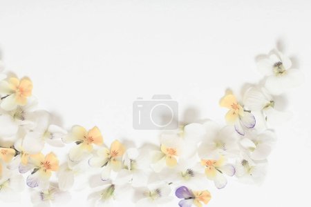 Photo for Viola flowers on white background - Royalty Free Image