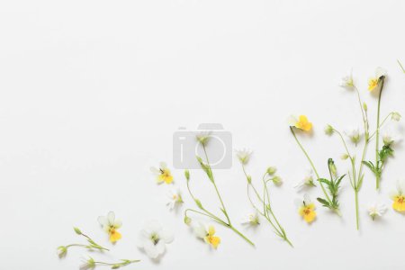 Foto de Flores silvestres sobre fondo blanco - Imagen libre de derechos