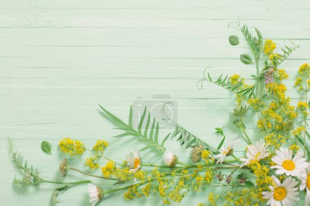 Téléchargez les photos : Fleurs sauvages sur fond de bois vert - en image libre de droit