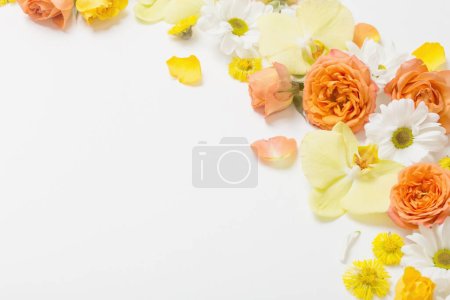 Foto de Hermoso patrón floral amarillo y naranja sobre fondo blanco - Imagen libre de derechos