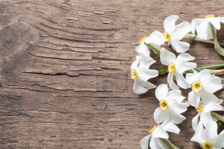 Téléchargez les photos : Narcisse sur fond bois - en image libre de droit