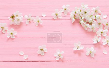 Foto de Flores de cerezo blanco sobre fondo de madera rosa - Imagen libre de derechos