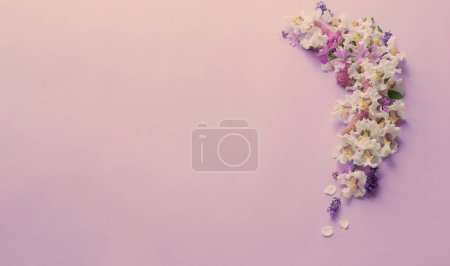 Foto de Flores blancas y moradas sobre fondo de papel morado - Imagen libre de derechos