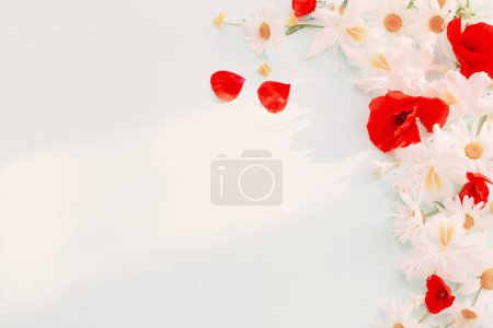 Photo for Summer flowers in sunny light on white background - Royalty Free Image