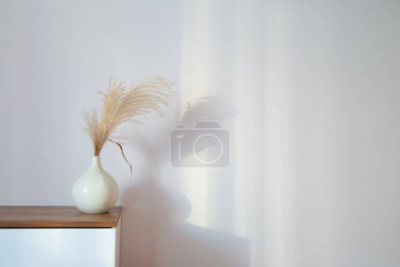 Foto de Plantas ornamentales de cereales secos en jarrón sobre fondo pared blanca - Imagen libre de derechos