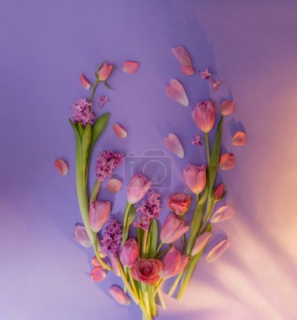 Foto de Flores de color rosa primavera sobre fondo de papel morado - Imagen libre de derechos