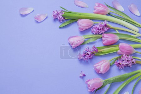 Photo for Spring flowers on purple paper background - Royalty Free Image