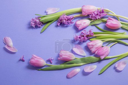 Téléchargez les photos : Fleurs de printemps sur fond de papier violet - en image libre de droit