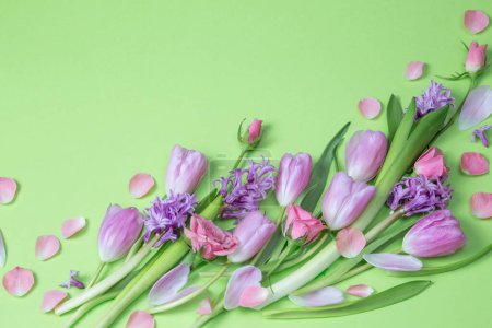 Téléchargez les photos : Fleurs printanières sur fond de papier vert - en image libre de droit