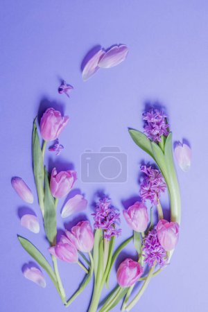 Foto de Flores de primavera sobre fondo de papel morado - Imagen libre de derechos