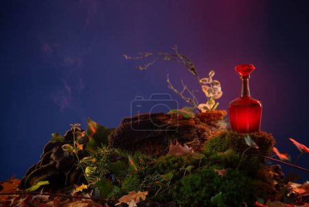 Photo for Bottle with potion in night forest - Royalty Free Image
