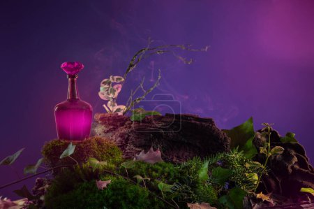 Foto de Botella con poción en el bosque nocturno - Imagen libre de derechos