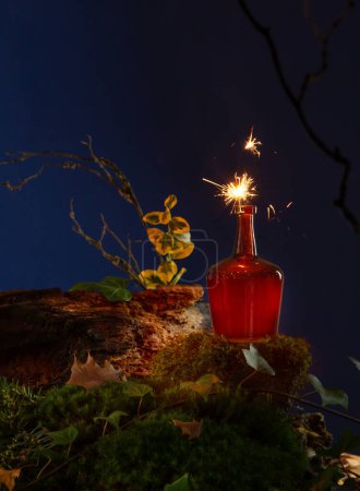 Téléchargez les photos : Bouteille avec potion dans la forêt nocturne - en image libre de droit