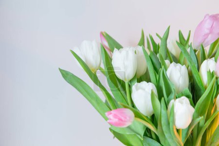 Téléchargez les photos : Tulipes blanches et roses sur le mur de fond - en image libre de droit