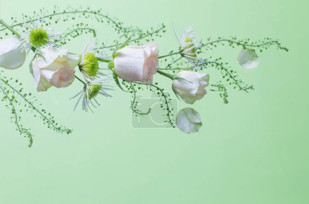 Foto de Flores y plantas sobre fondo verde - Imagen libre de derechos