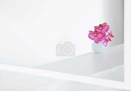 Photo for Purple orchid in glass vase on white background - Royalty Free Image