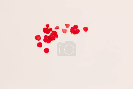 Téléchargez les photos : Cadre de géranium rouge sur fond blanc - en image libre de droit