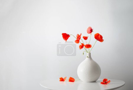 Foto de Amapolas rojas en jarrón sobre fondo blanco - Imagen libre de derechos