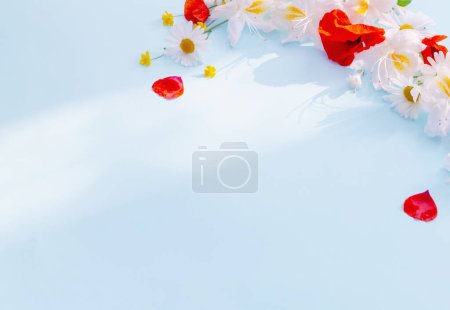 Photo for Summer flowers in sunny light on blue background - Royalty Free Image