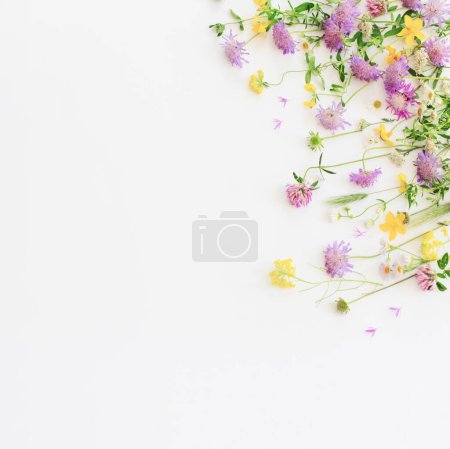 Foto de Flores silvestres de verano sobre fondo de papel blanco - Imagen libre de derechos
