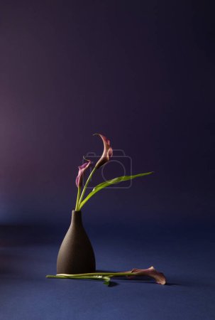 Photo for Purple calla lily in vase on dark background - Royalty Free Image