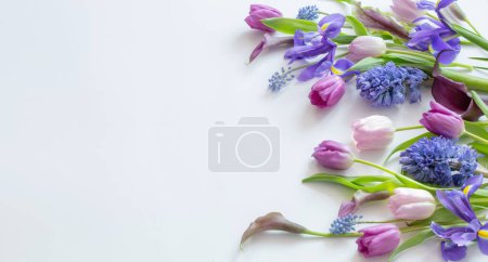 Foto de Hermosas flores de primavera sobre fondo blanco - Imagen libre de derechos